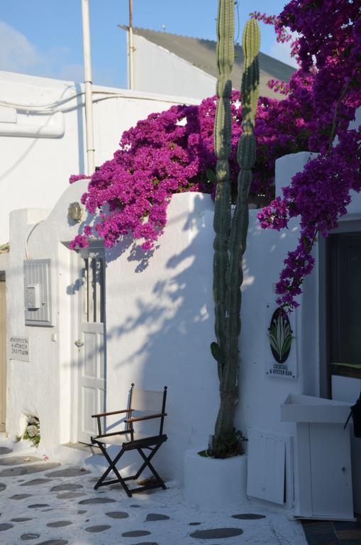 White And Grey Chora Lejlighed Mykonos Town Eksteriør billede