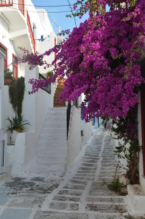 White And Grey Chora Lejlighed Mykonos Town Eksteriør billede